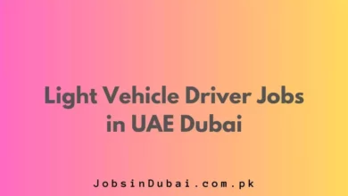 Light Vehicle Driver Jobs in UAE Dubai