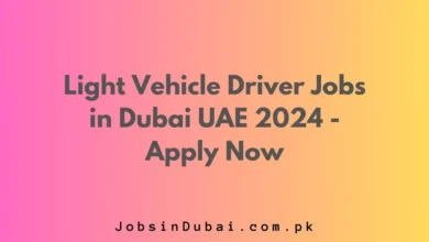 Light Vehicle Driver Jobs in Dubai UAE