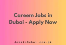 Careem Jobs in Dubai 