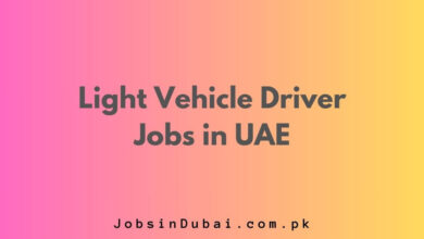 Light Vehicle Driver Jobs in UAE