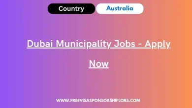 Dubai Municipality Jobs