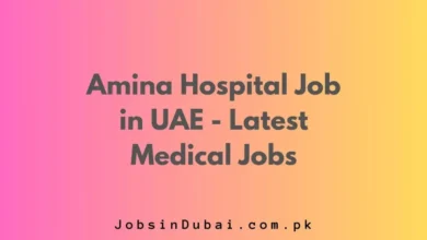 Amina Hospital Job in UAE