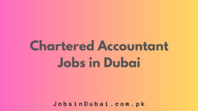 Chartered Accountant Jobs in Dubai