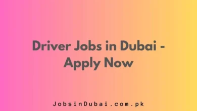 Driver Jobs in Dubai