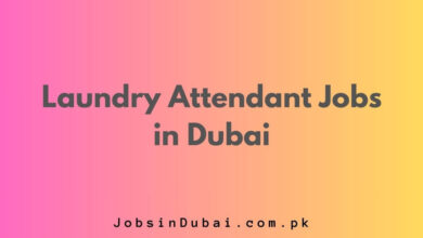 Laundry Attendant Jobs in Dubai