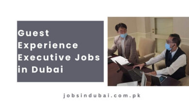 Guest Experience Executive Jobs in Dubai