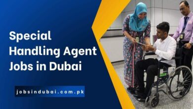 Special Handling Agent Jobs in Dubai