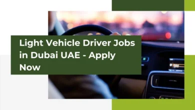 Light Vehicle Driver Jobs in Dubai